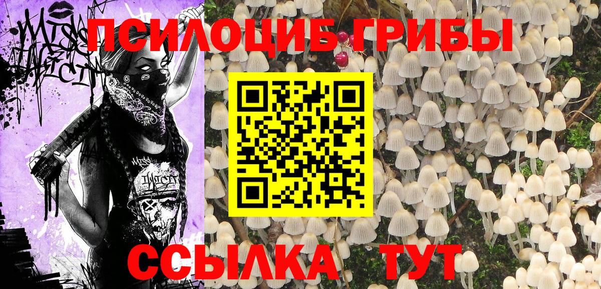 Новочеркасск  Псилоцибиновые грибы GOLDEN TEACHER  Вход с VPN 